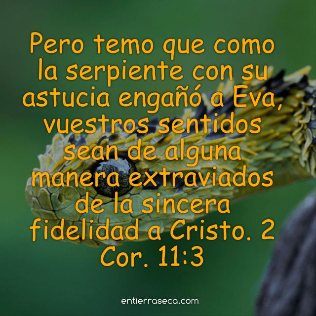 FontCandy 20170603.png